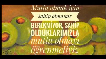 21616443_177293956149108_432317379067152716_n