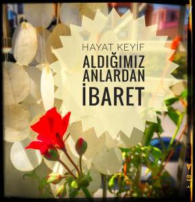 21751702_177364556142048_2447479417714876505_n